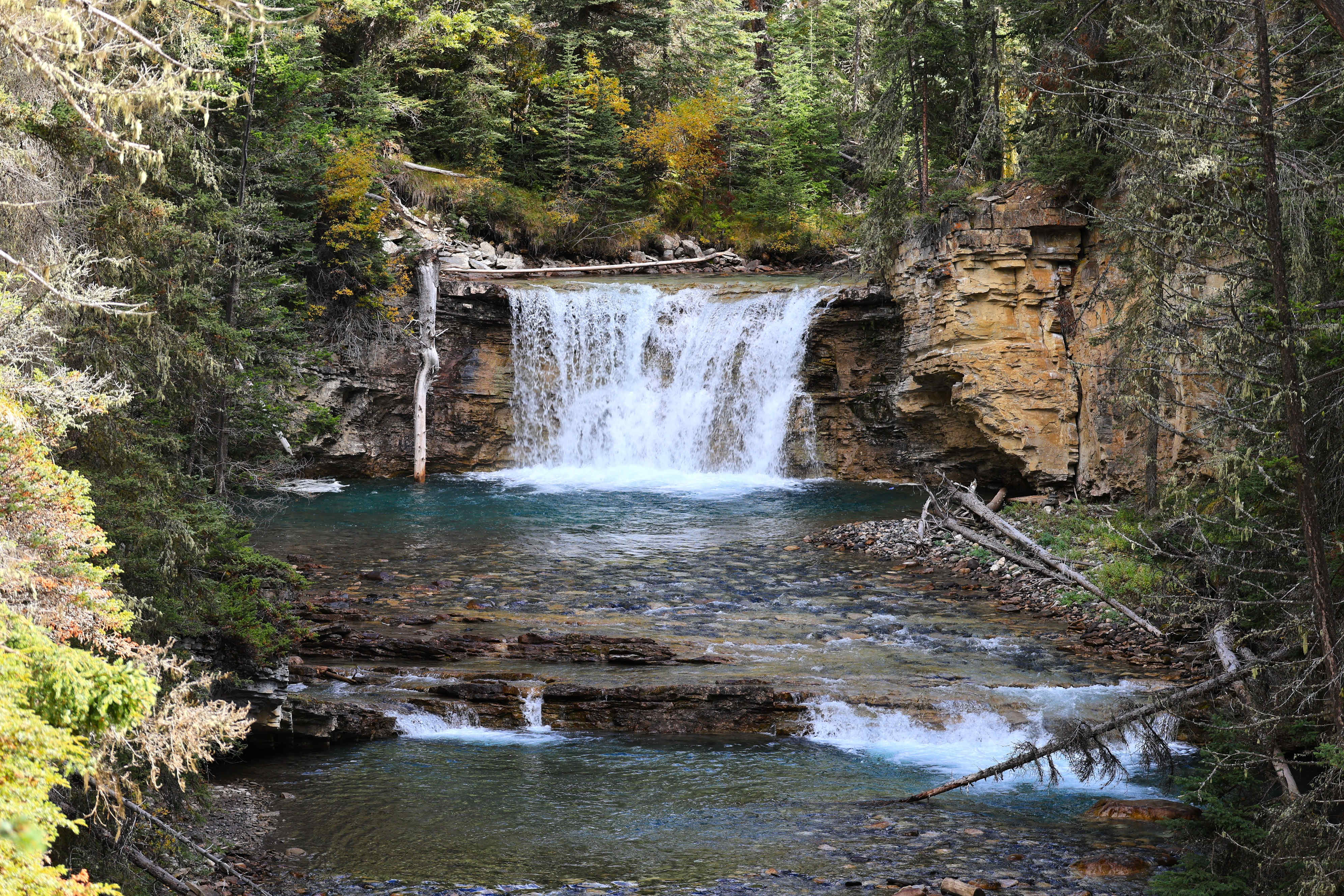 NP Banff